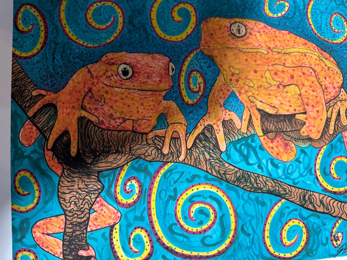 Tree Frogs Art Print Sapo Healing Art 13x19” of a markers drawing